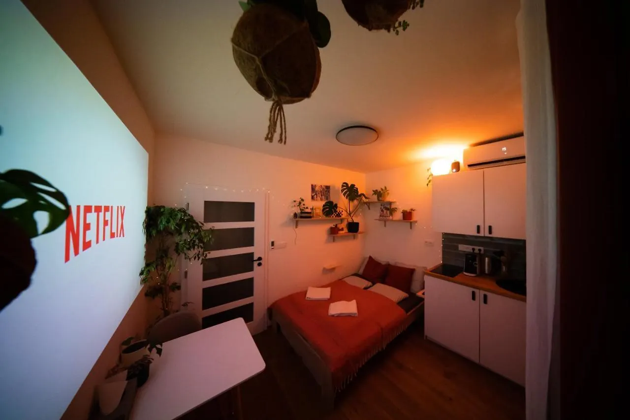 Maly Utulny Byt S Balkonem A Projektorem Praga Czechy