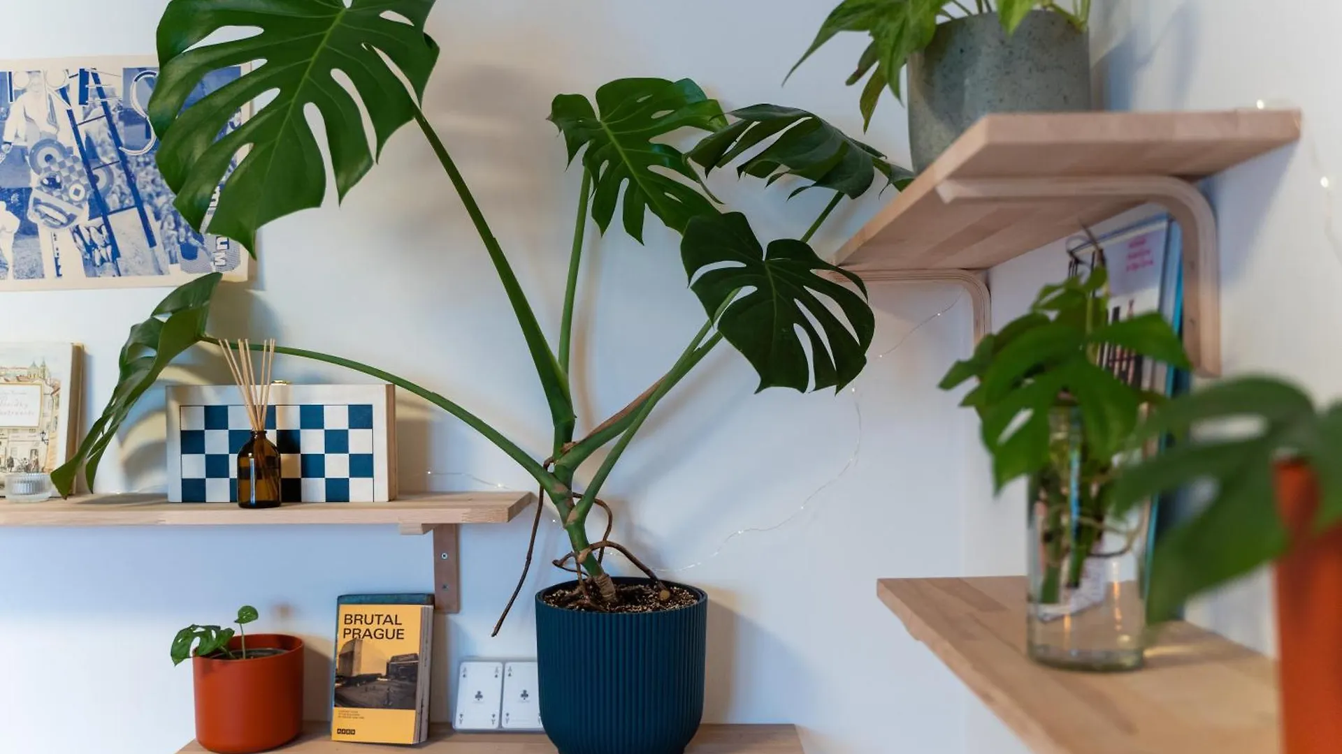 Apartament Maly Utulny Byt S Balkonem A Projektorem Praga